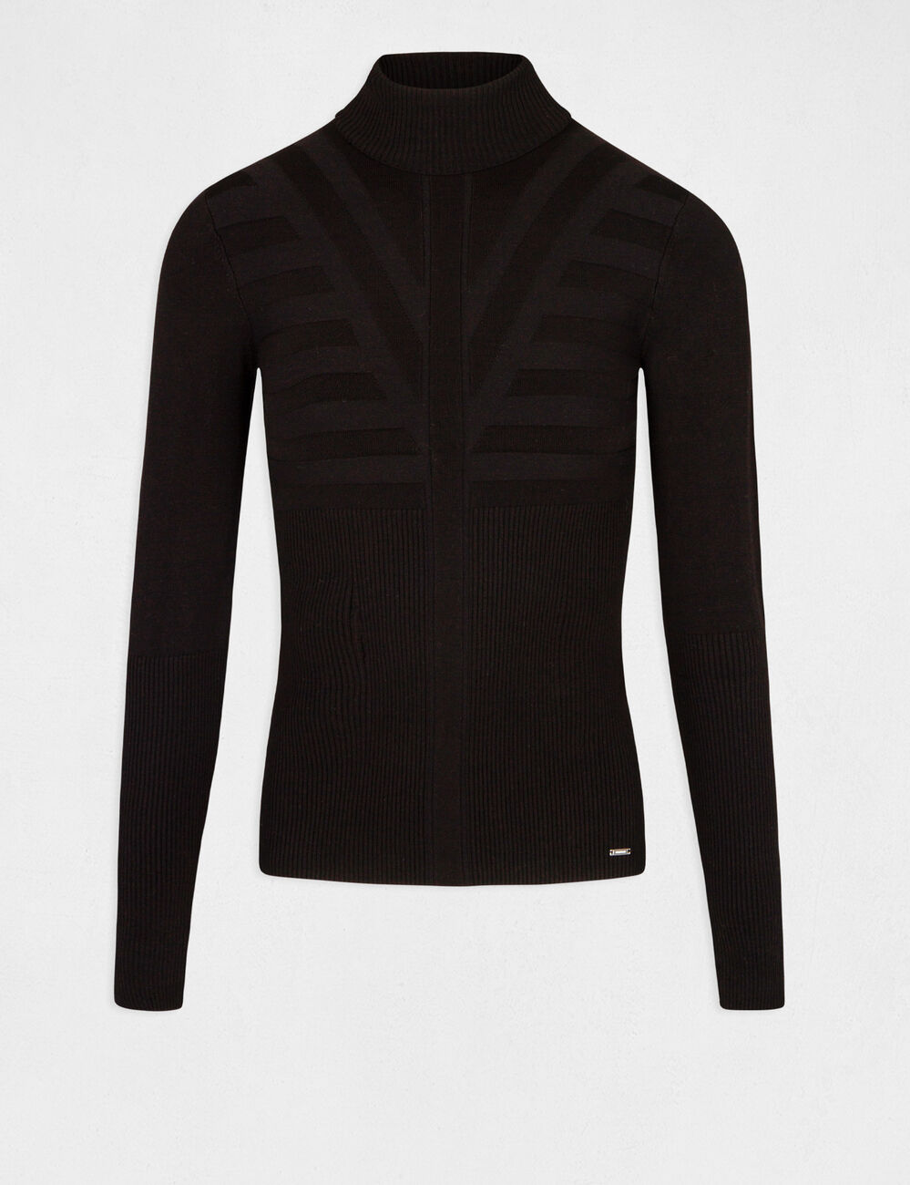 Pull manches longues avec col roul&eacute; noir femme