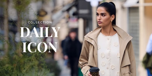 collection daily icon